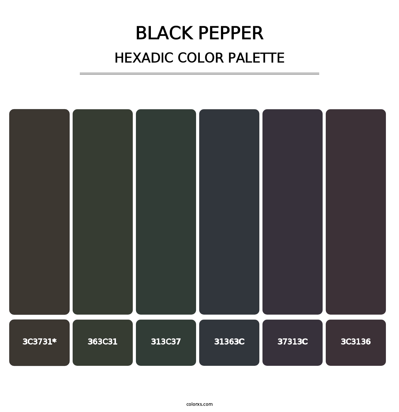 Black Pepper - Hexadic Color Palette
