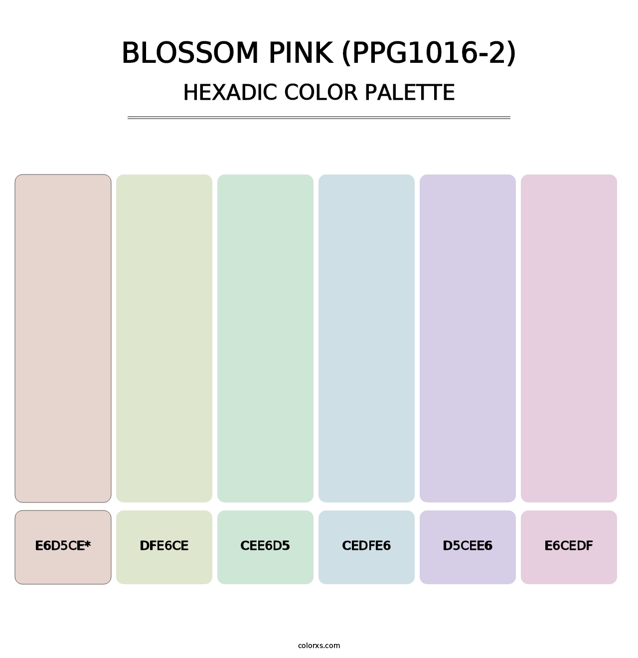 Blossom Pink (PPG1016-2) - Hexadic Color Palette