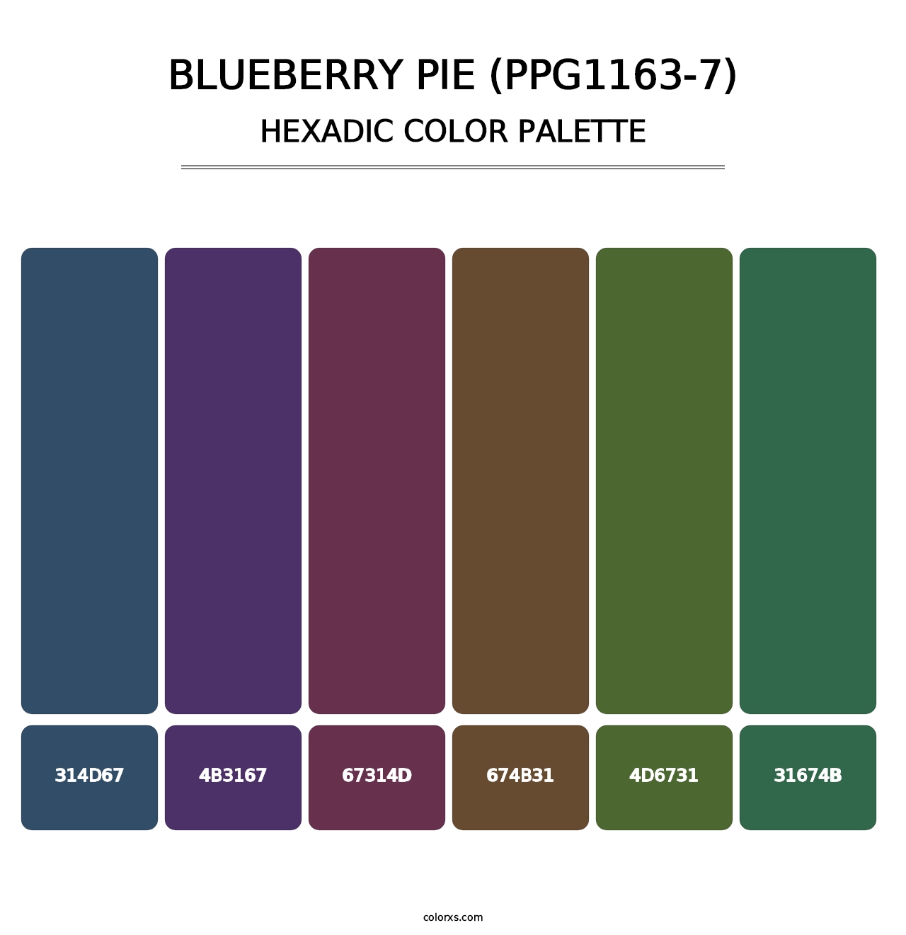 Blueberry Pie (PPG1163-7) - Hexadic Color Palette