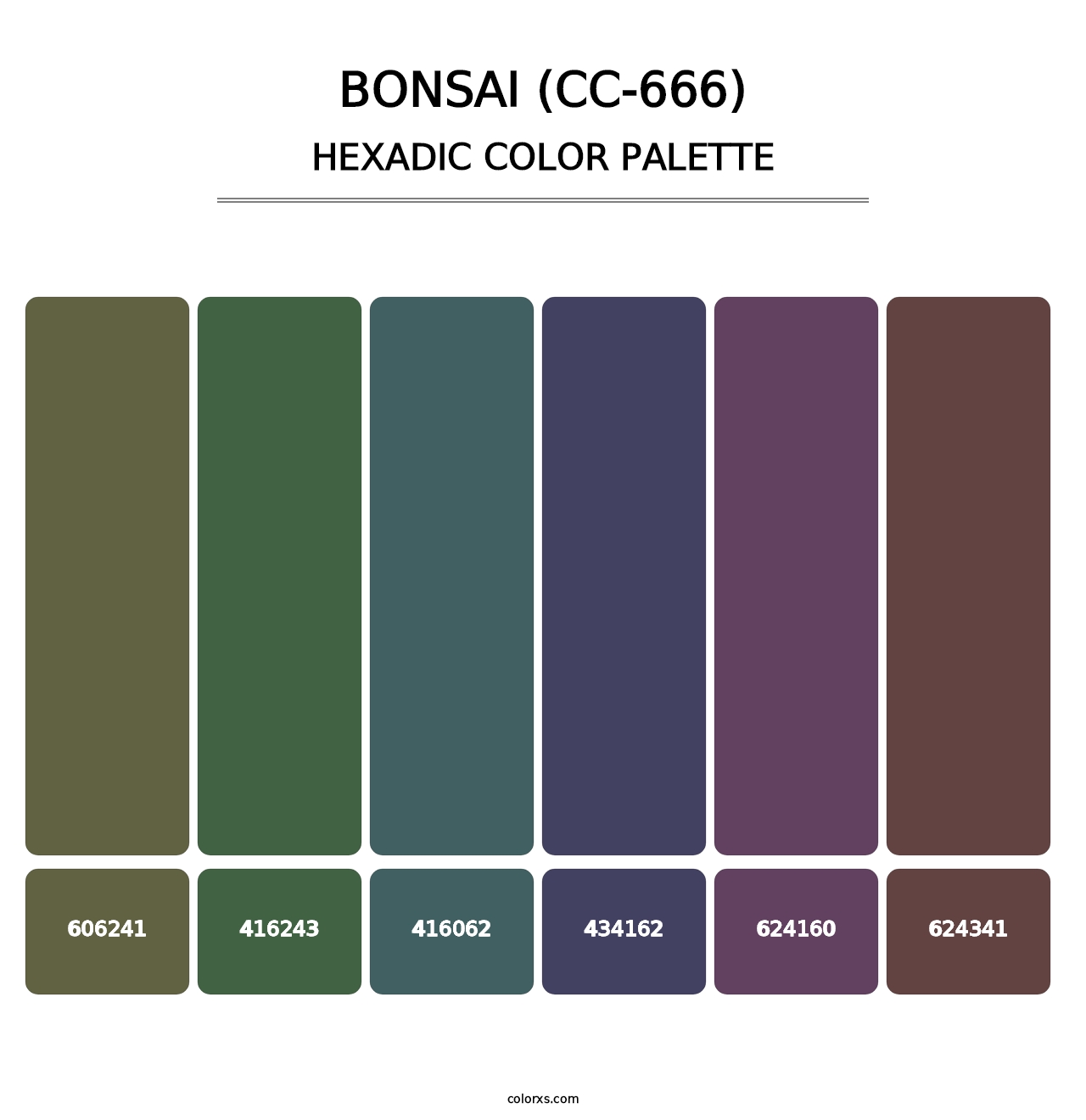 Bonsai (CC-666) - Hexadic Color Palette