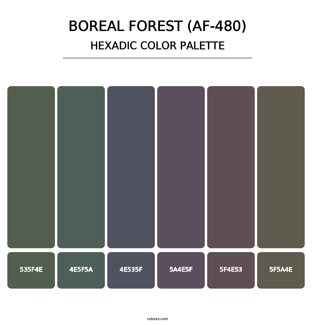 Boreal Forest (AF-480) - Hexadic Color Palette