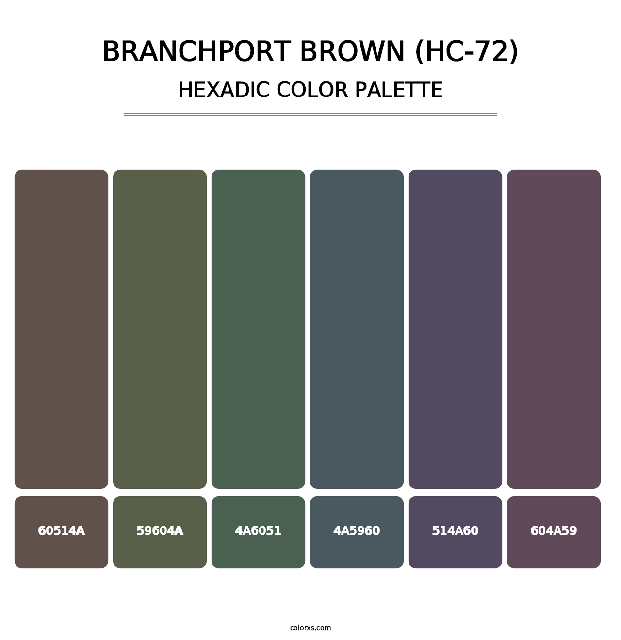 Branchport Brown (HC-72) - Hexadic Color Palette