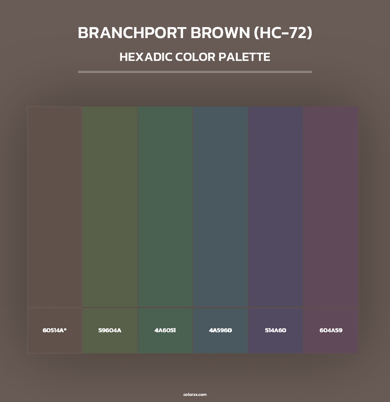 Branchport Brown (HC-72) - Hexadic Color Palette