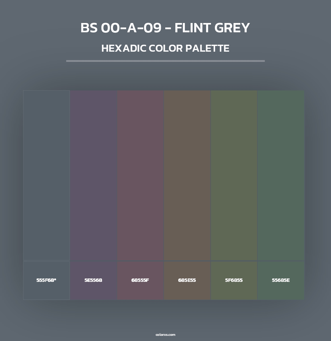 BS 00-A-09 - Flint Grey - Hexadic Color Palette