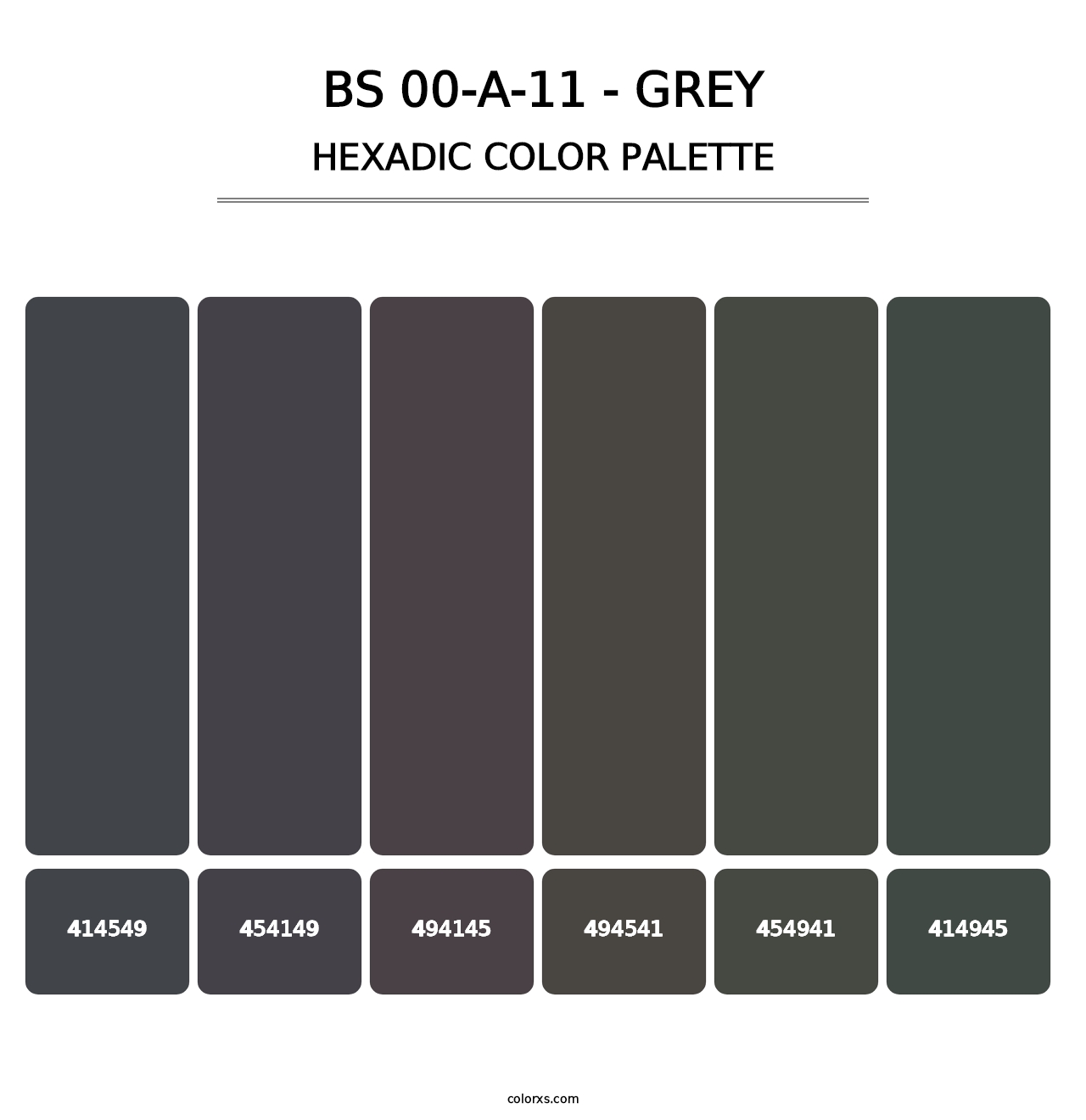 BS 00-A-11 - Grey - Hexadic Color Palette