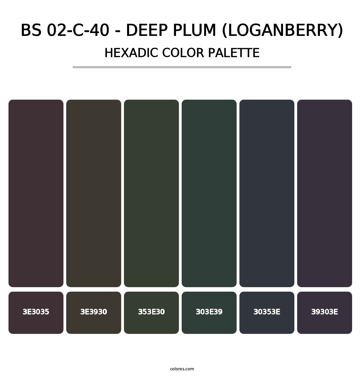 BS 02-C-40 - Deep Plum (Loganberry) - Hexadic Color Palette