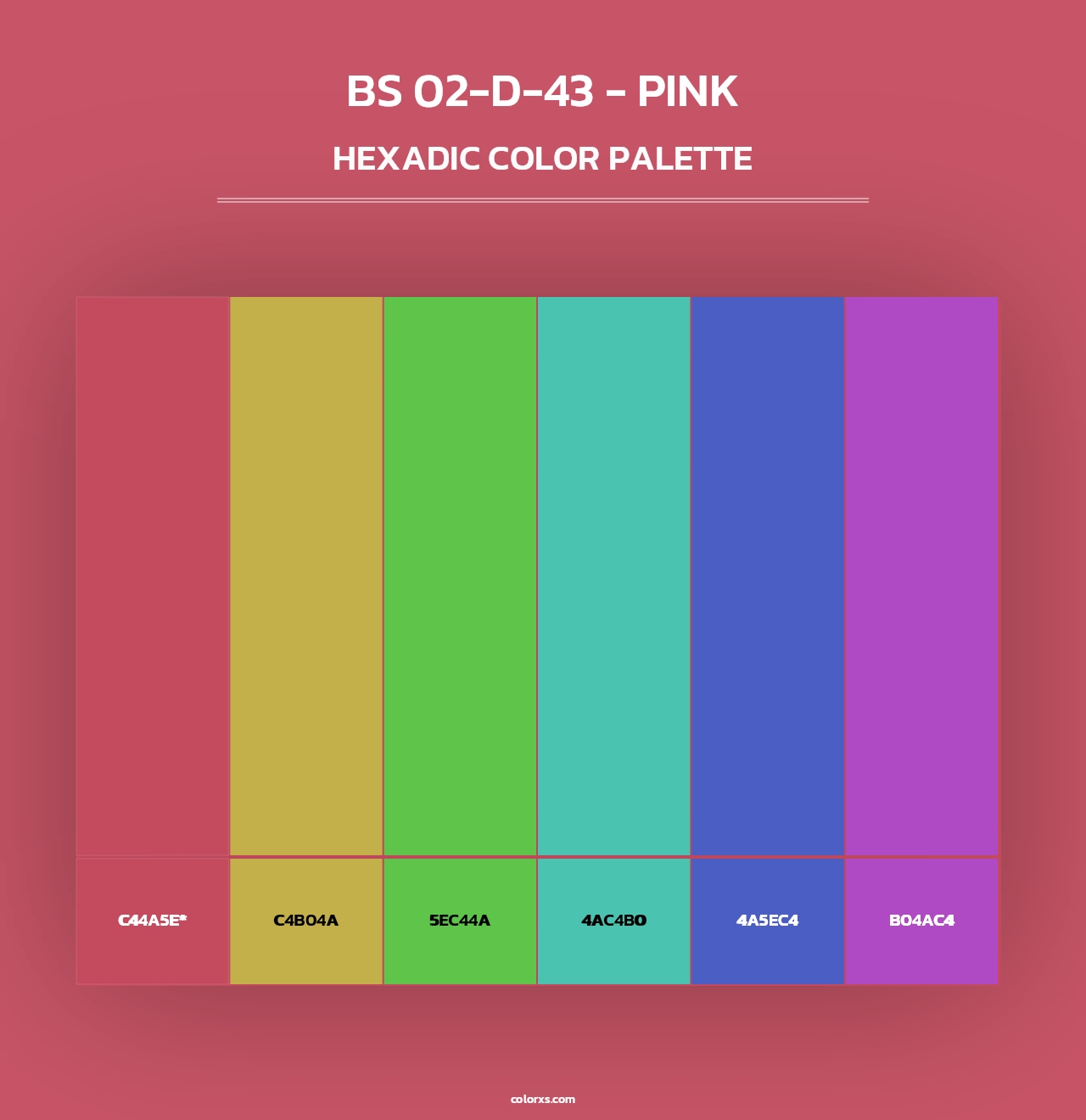 BS 02-D-43 - Pink - Hexadic Color Palette