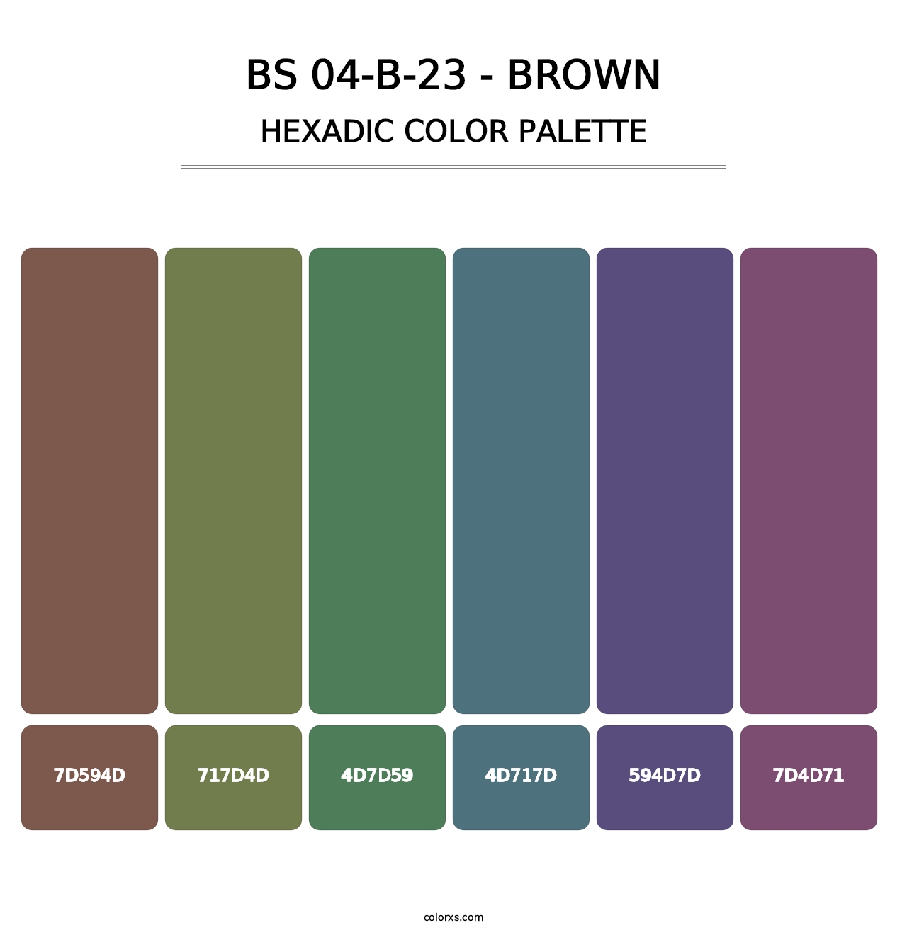 BS 04-B-23 - Brown - Hexadic Color Palette