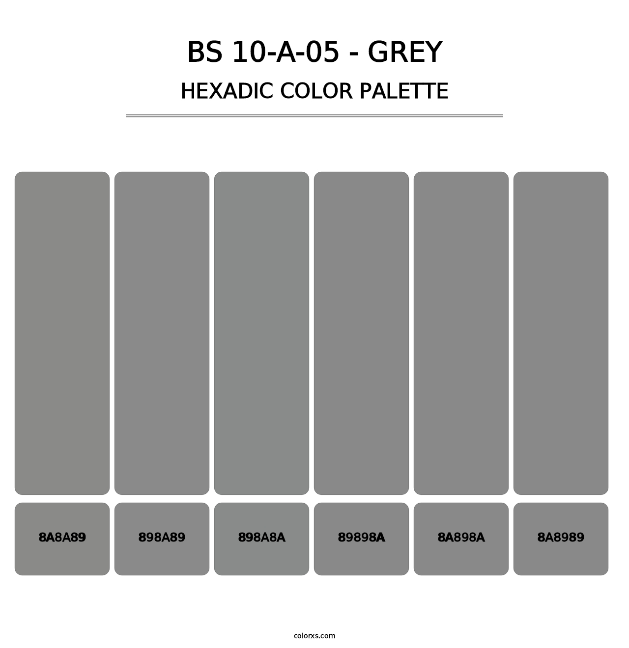 BS 10-A-05 - Grey - Hexadic Color Palette