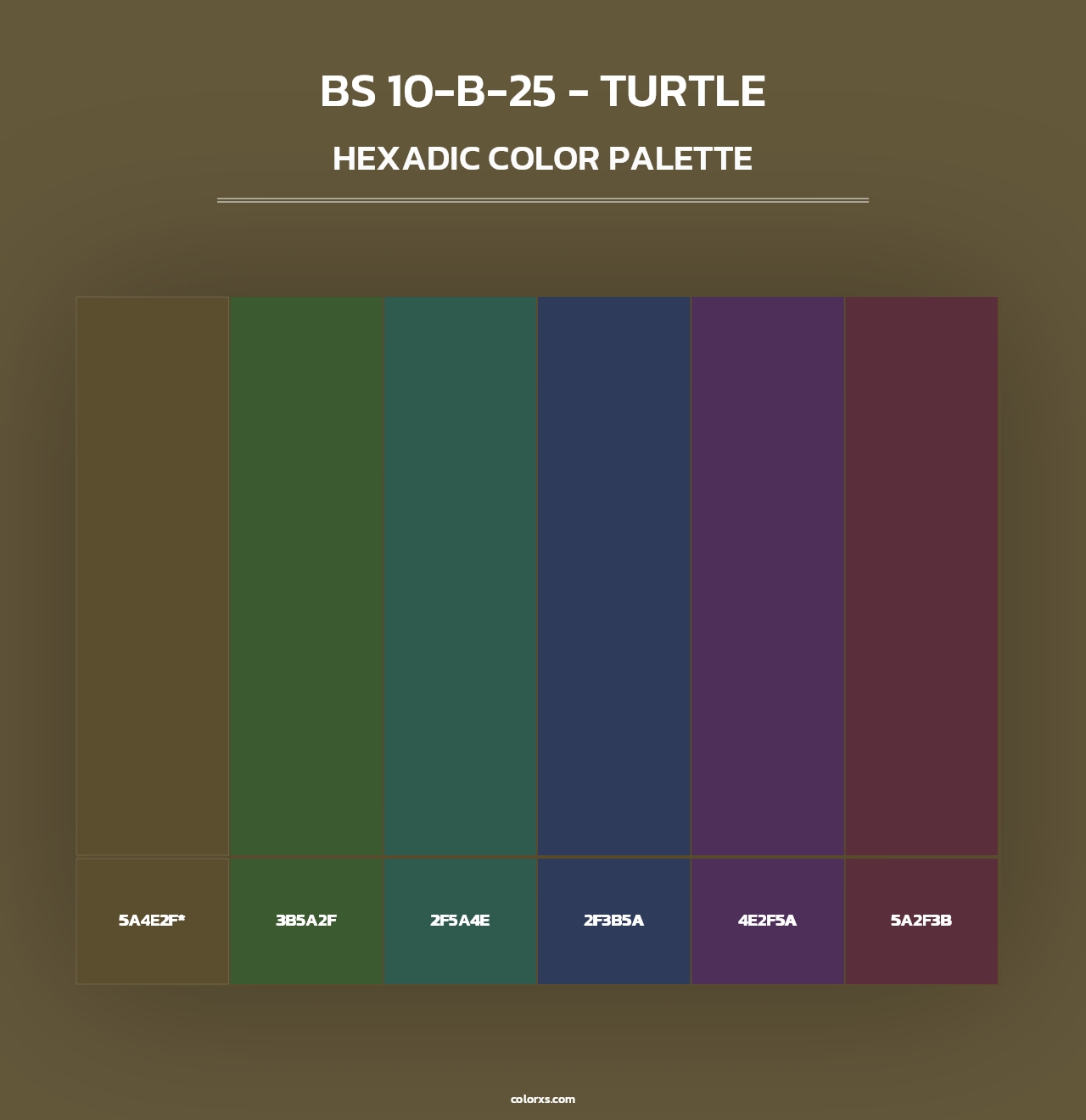 BS 10-B-25 - Turtle - Hexadic Color Palette