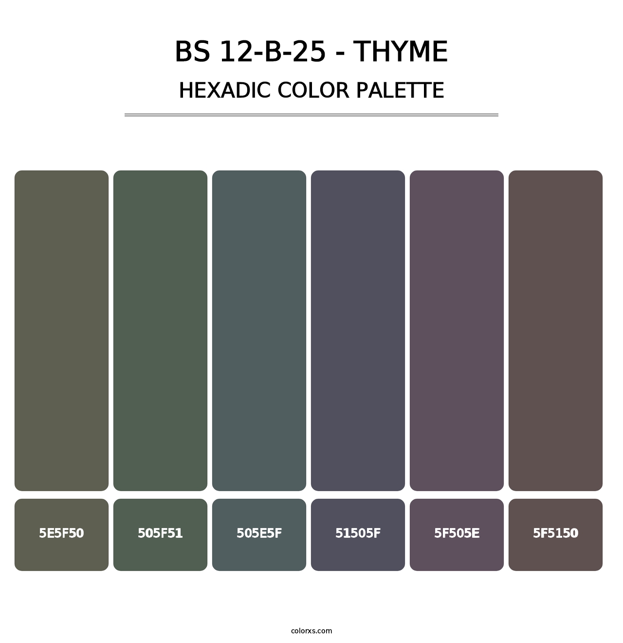 BS 12-B-25 - Thyme - Hexadic Color Palette