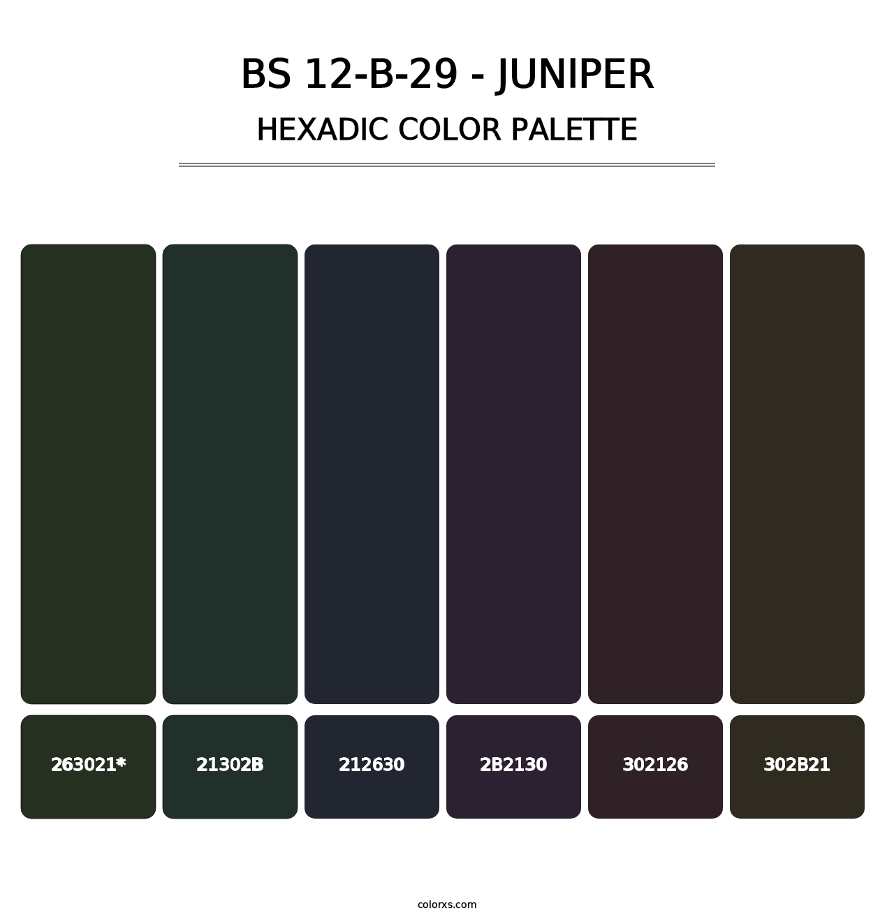 BS 12-B-29 - Juniper - Hexadic Color Palette