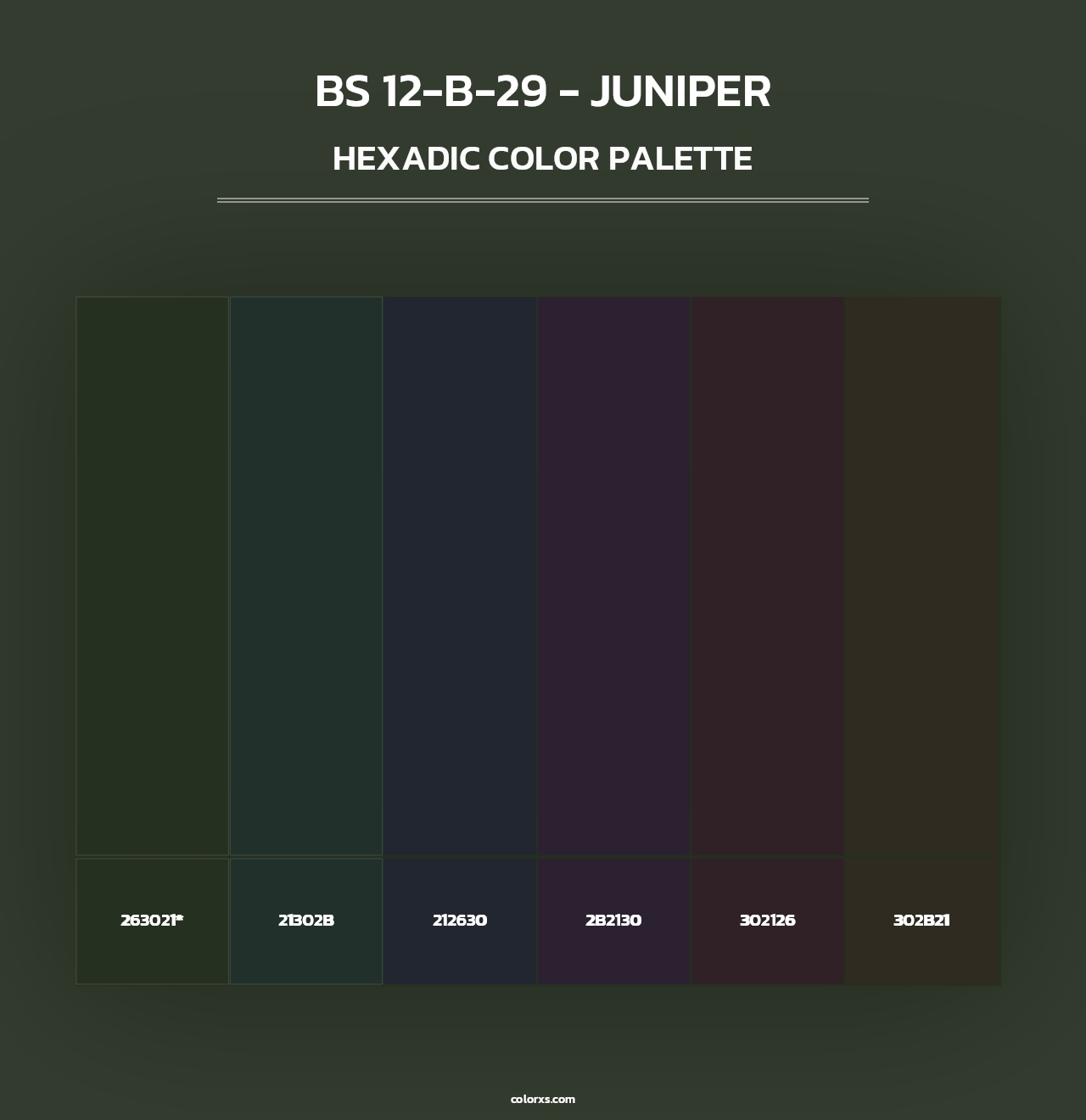 BS 12-B-29 - Juniper - Hexadic Color Palette