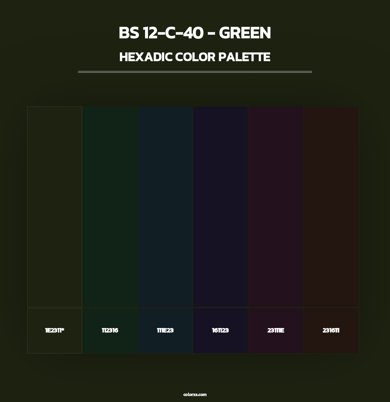 BS 12-C-40 - Green - Hexadic Color Palette