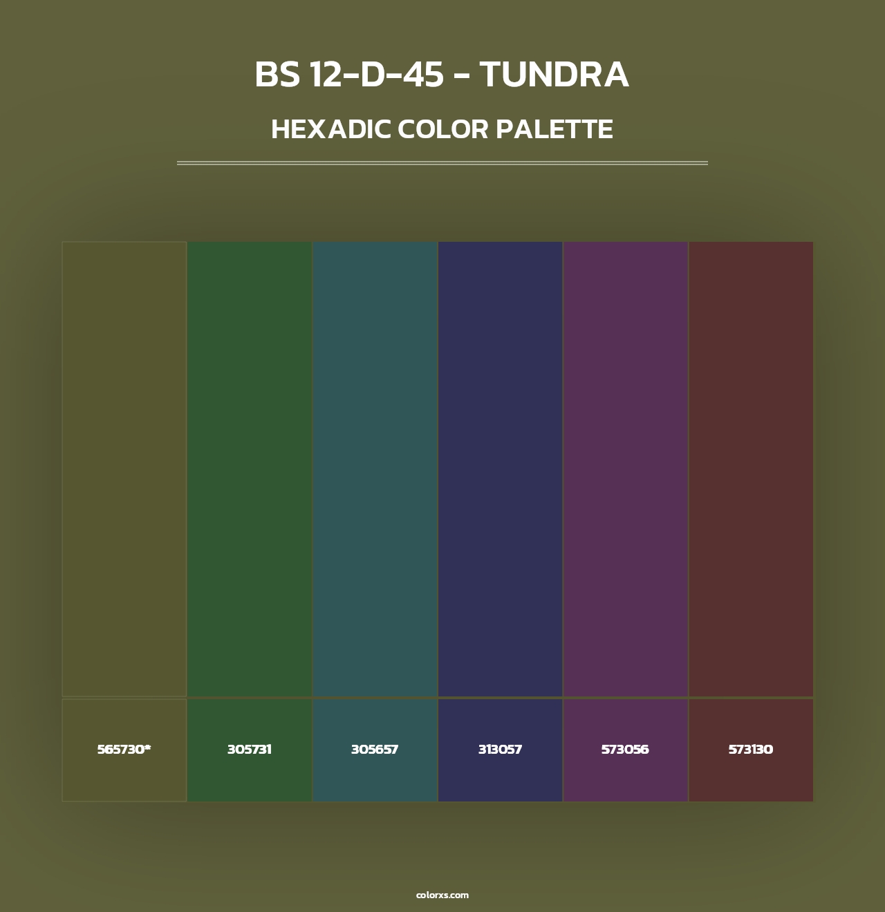 BS 12-D-45 - Tundra - Hexadic Color Palette