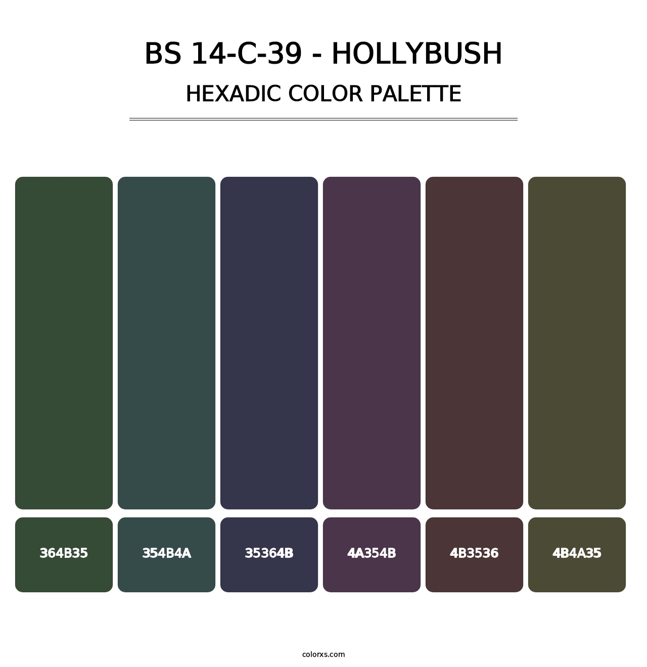 BS 14-C-39 - Hollybush - Hexadic Color Palette