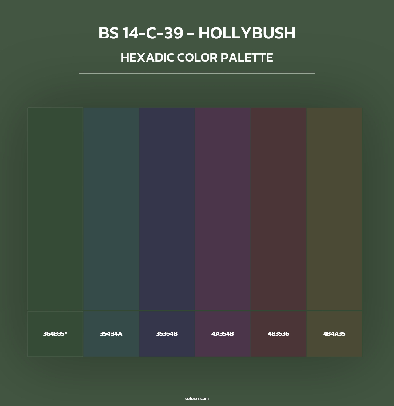 BS 14-C-39 - Hollybush - Hexadic Color Palette