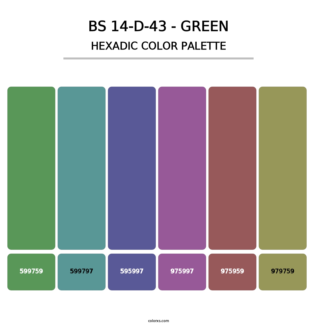 BS 14-D-43 - Green - Hexadic Color Palette