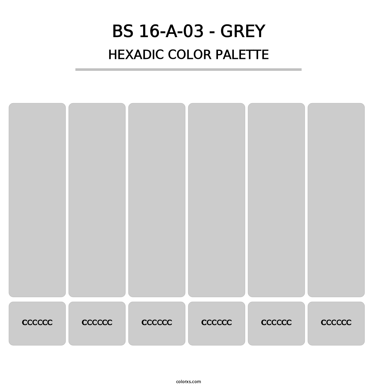 BS 16-A-03 - Grey - Hexadic Color Palette