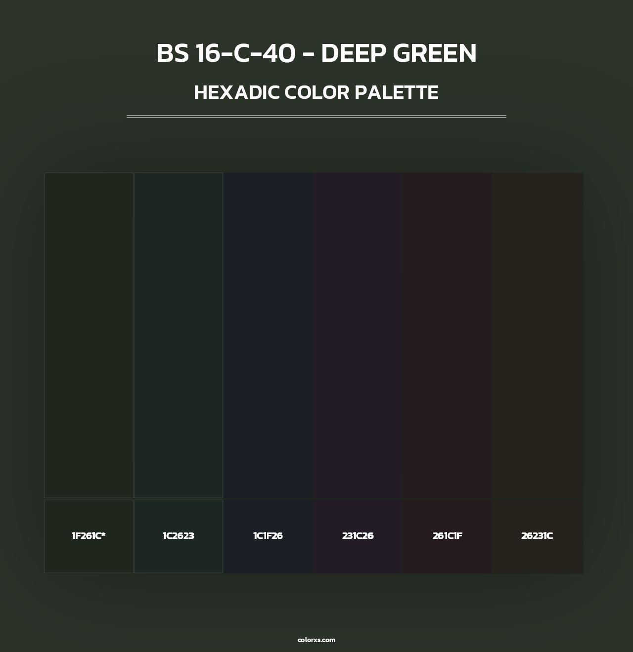 BS 16-C-40 - Deep Green - Hexadic Color Palette