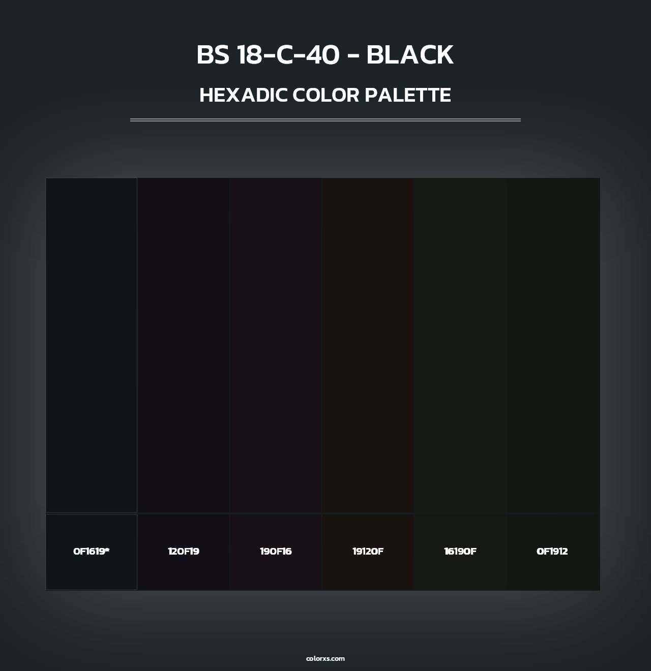 BS 18-C-40 - Black - Hexadic Color Palette
