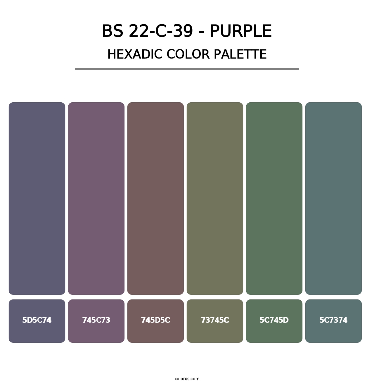 BS 22-C-39 - Purple - Hexadic Color Palette