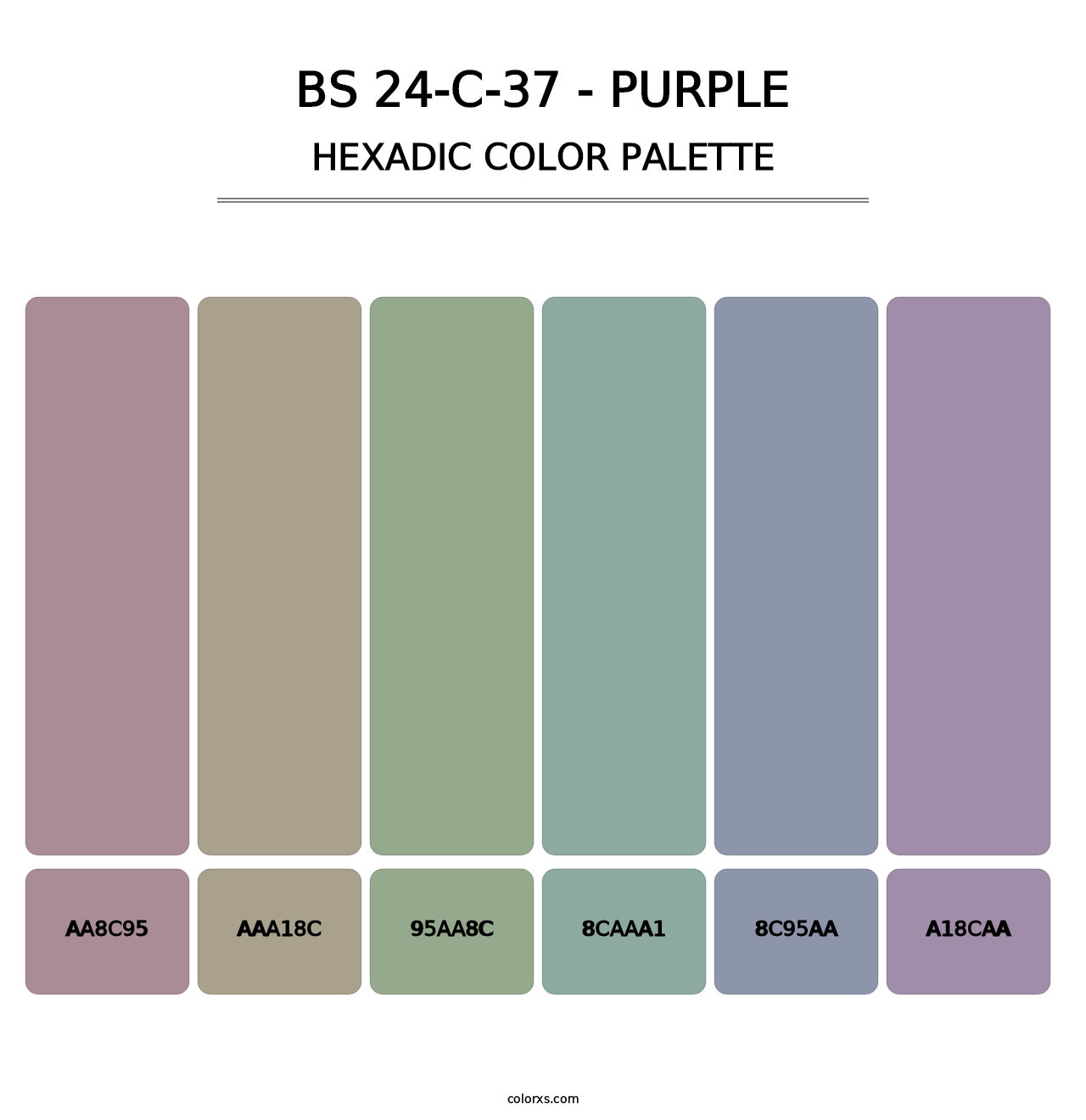 BS 24-C-37 - Purple - Hexadic Color Palette