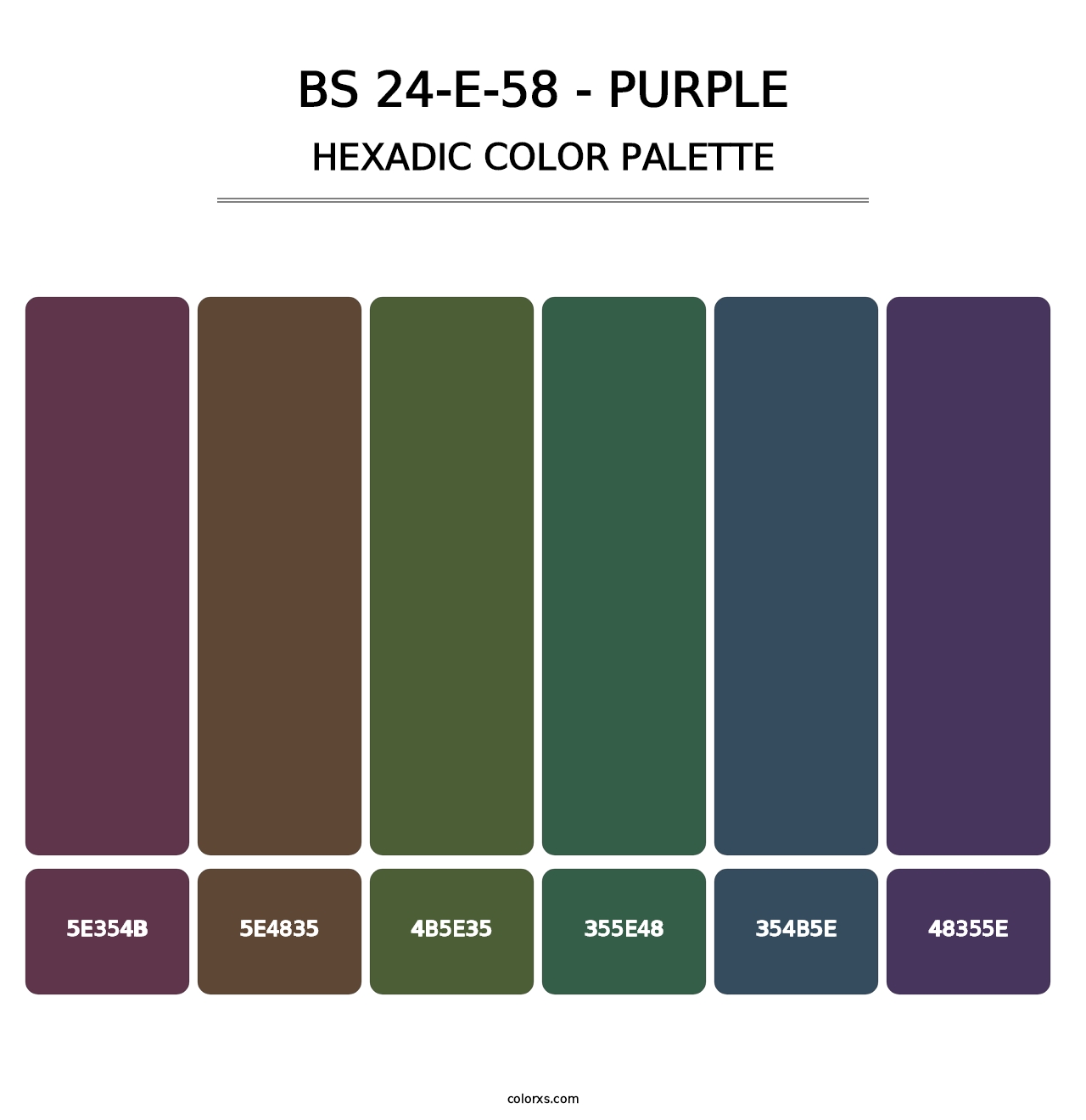 BS 24-E-58 - Purple - Hexadic Color Palette