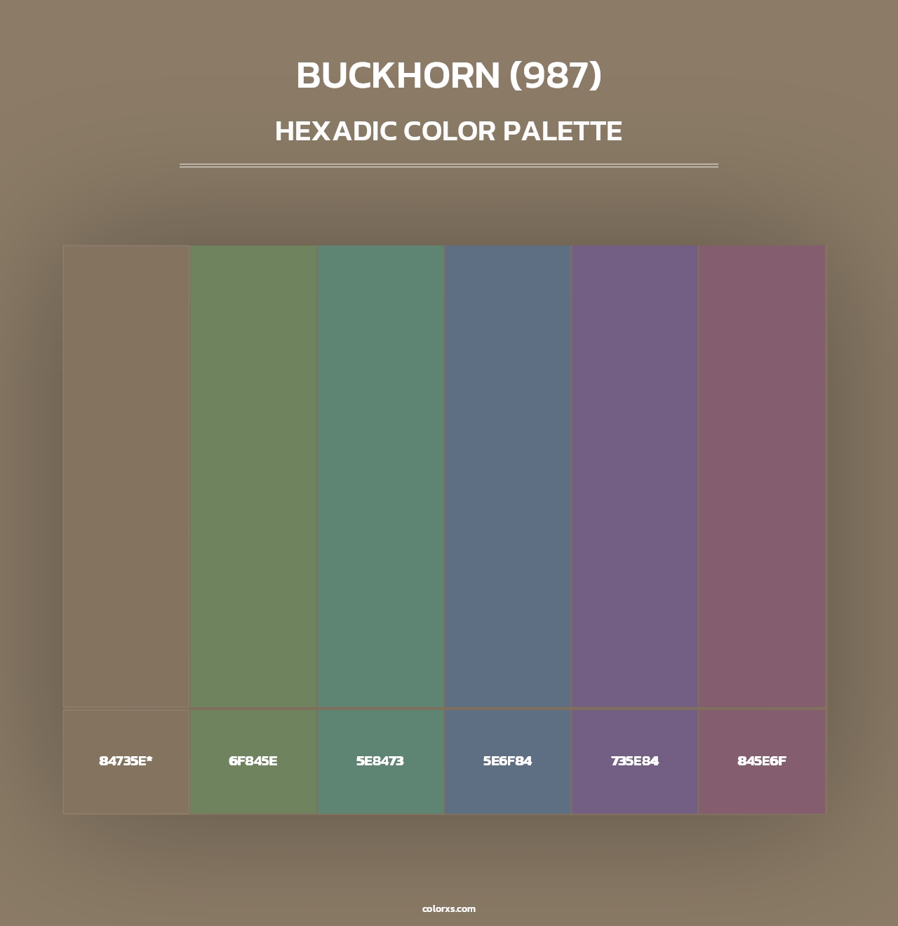 Buckhorn (987) - Hexadic Color Palette