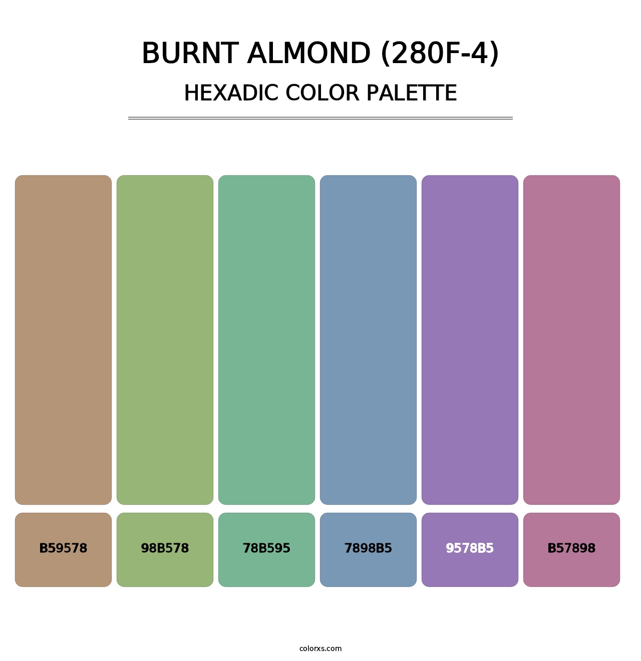 Burnt Almond (280F-4) - Hexadic Color Palette