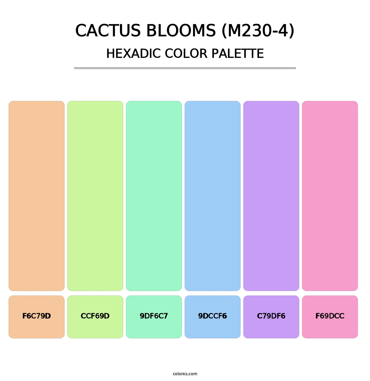 Cactus Blooms (M230-4) - Hexadic Color Palette