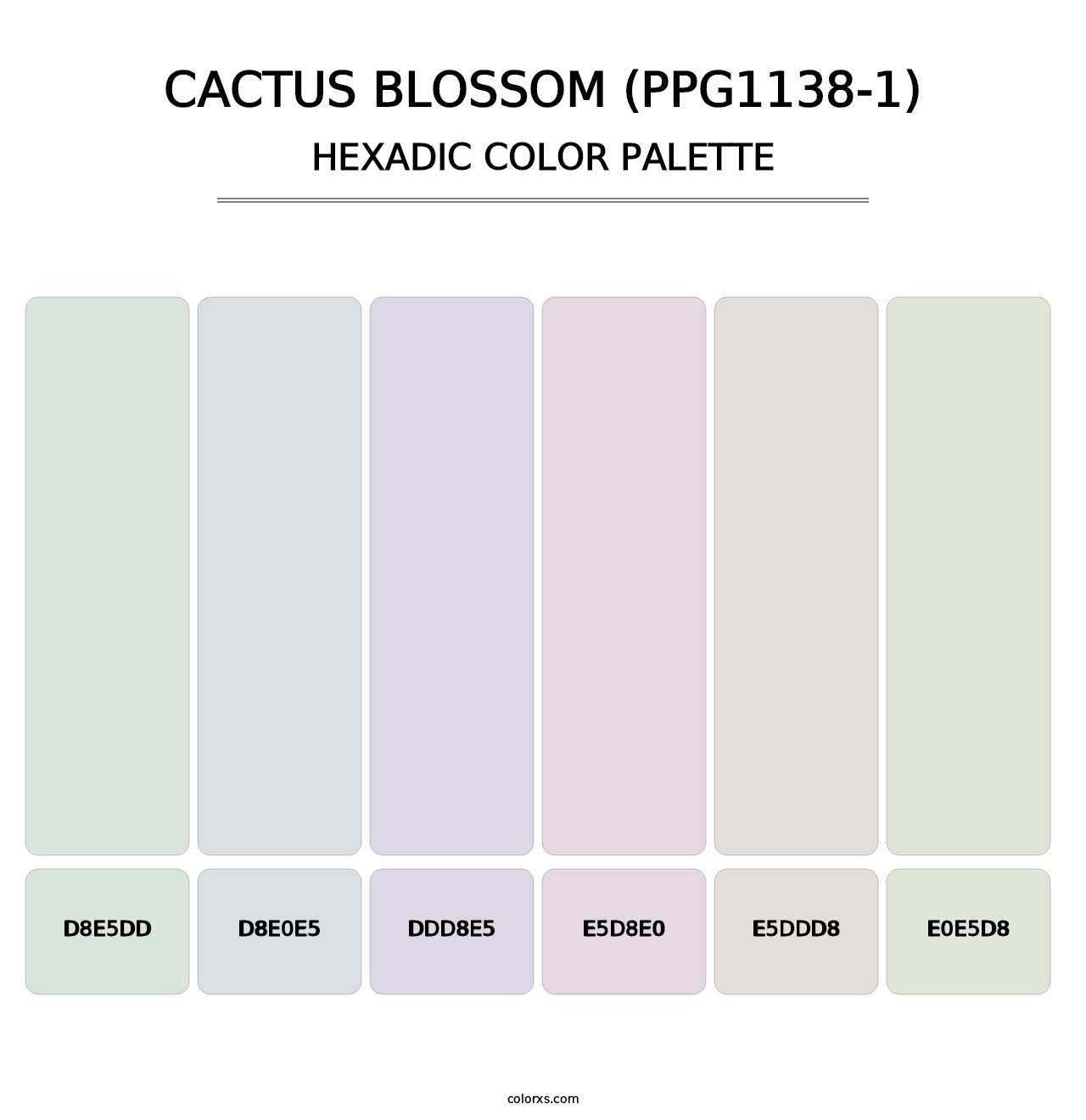 Cactus Blossom (PPG1138-1) - Hexadic Color Palette