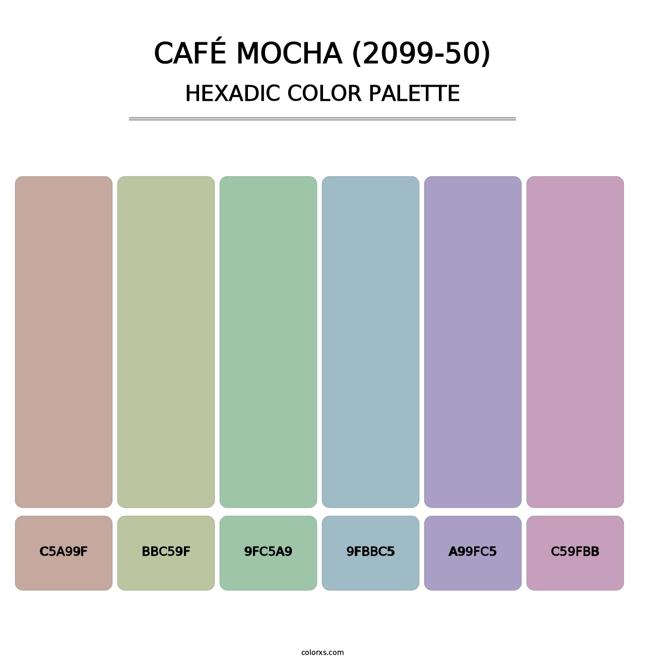 Café Mocha (2099-50) - Hexadic Color Palette
