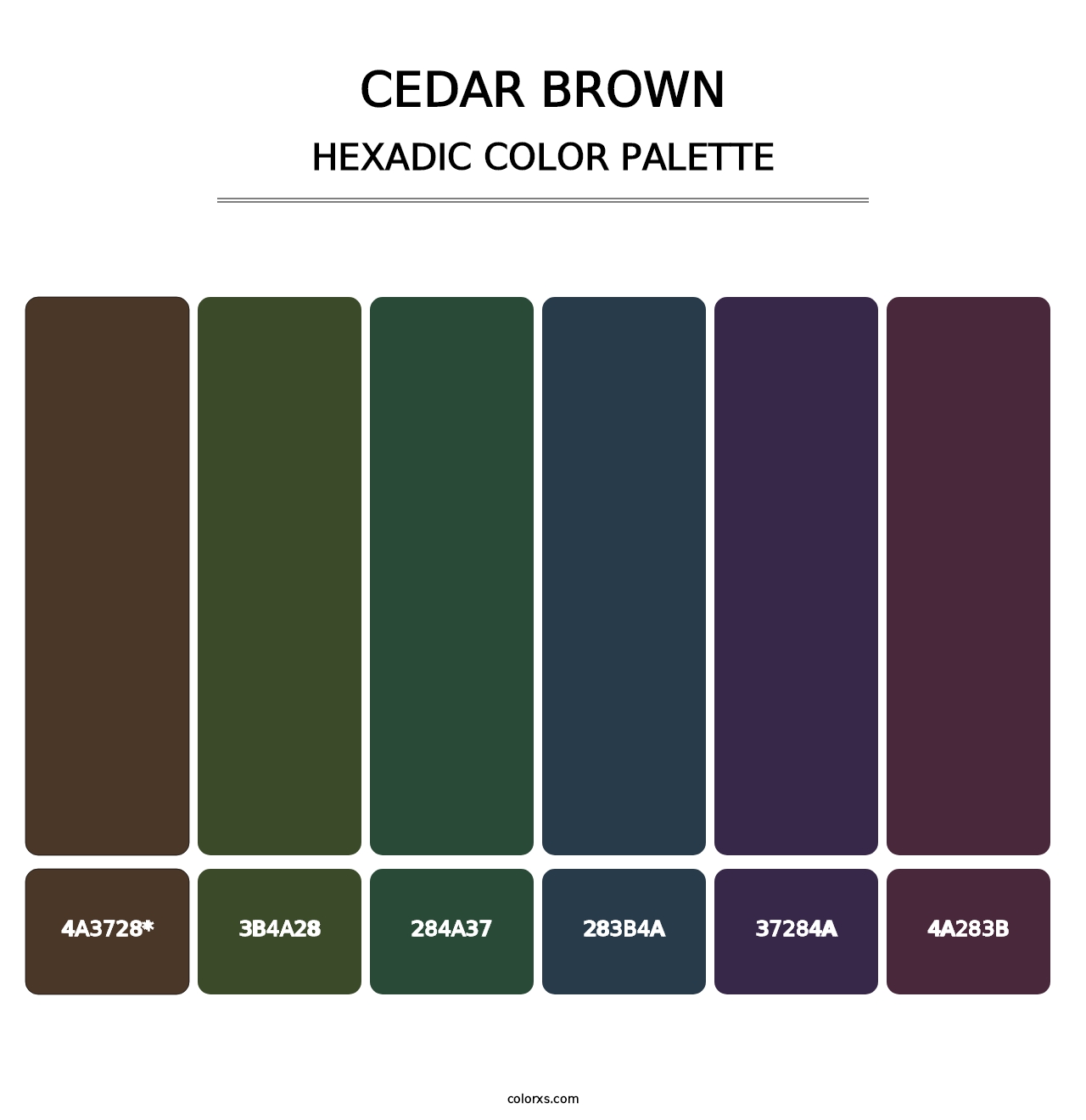 Cedar Brown - Hexadic Color Palette