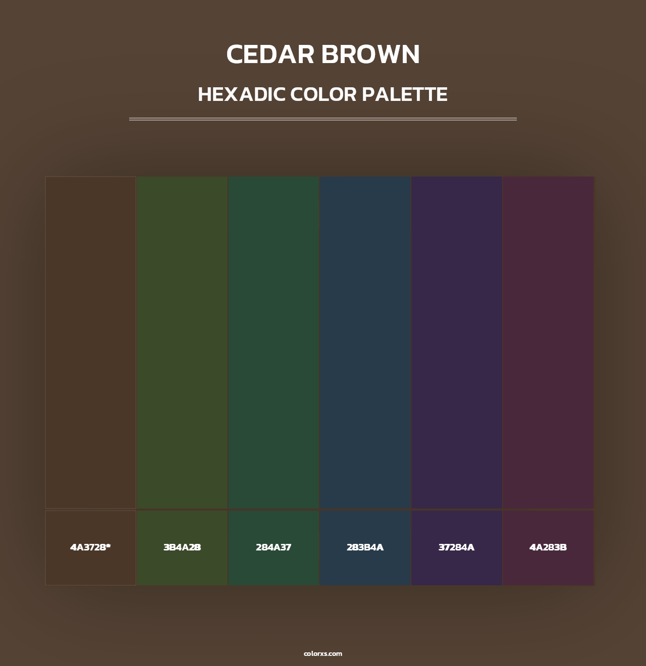 Cedar Brown - Hexadic Color Palette