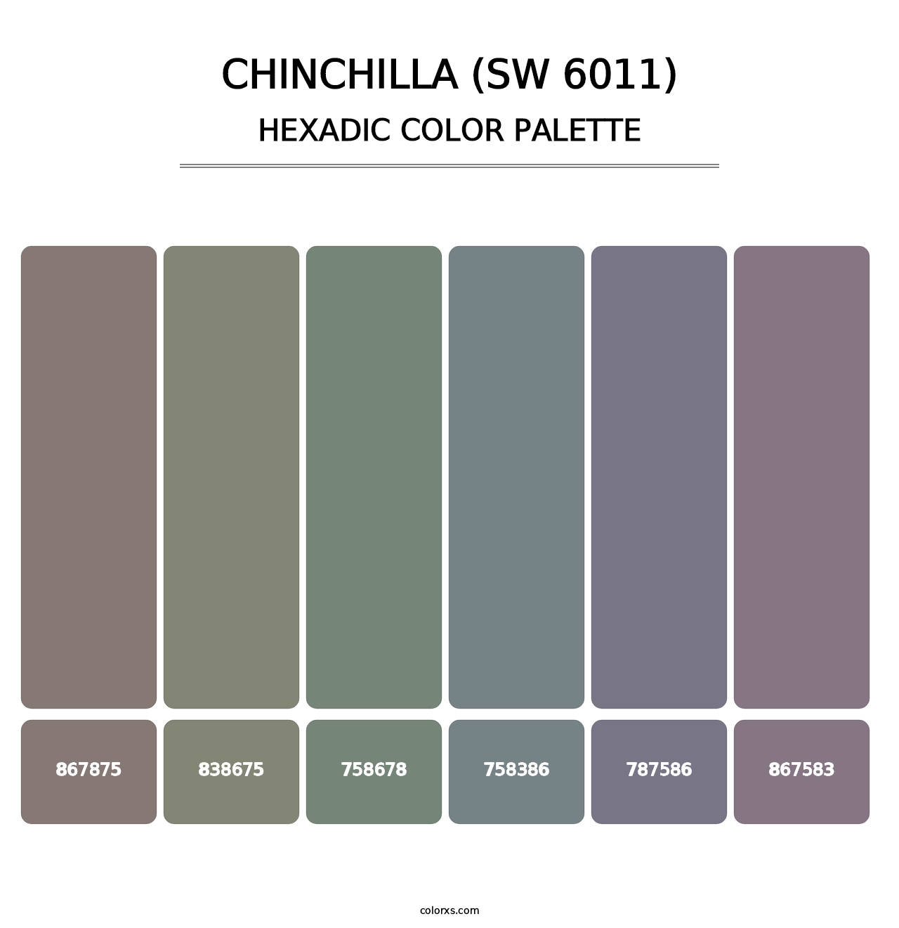 Chinchilla (SW 6011) - Hexadic Color Palette