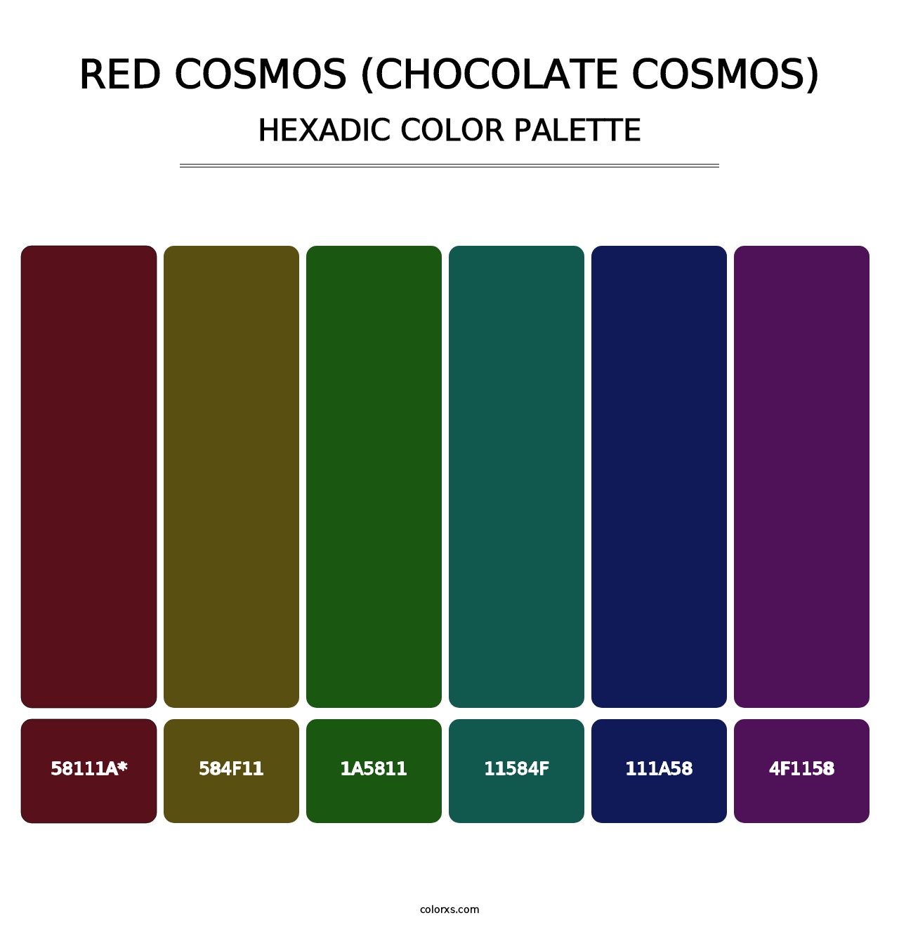 Red Cosmos (Chocolate Cosmos) - Hexadic Color Palette