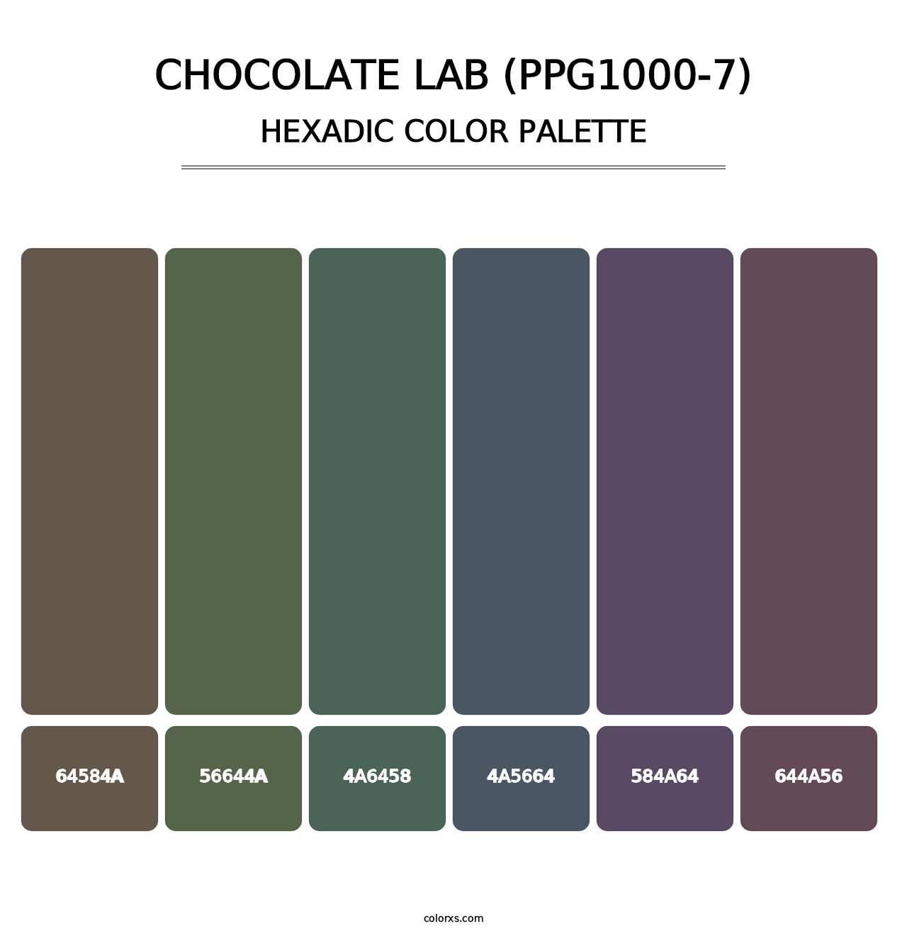 Chocolate Lab (PPG1000-7) - Hexadic Color Palette