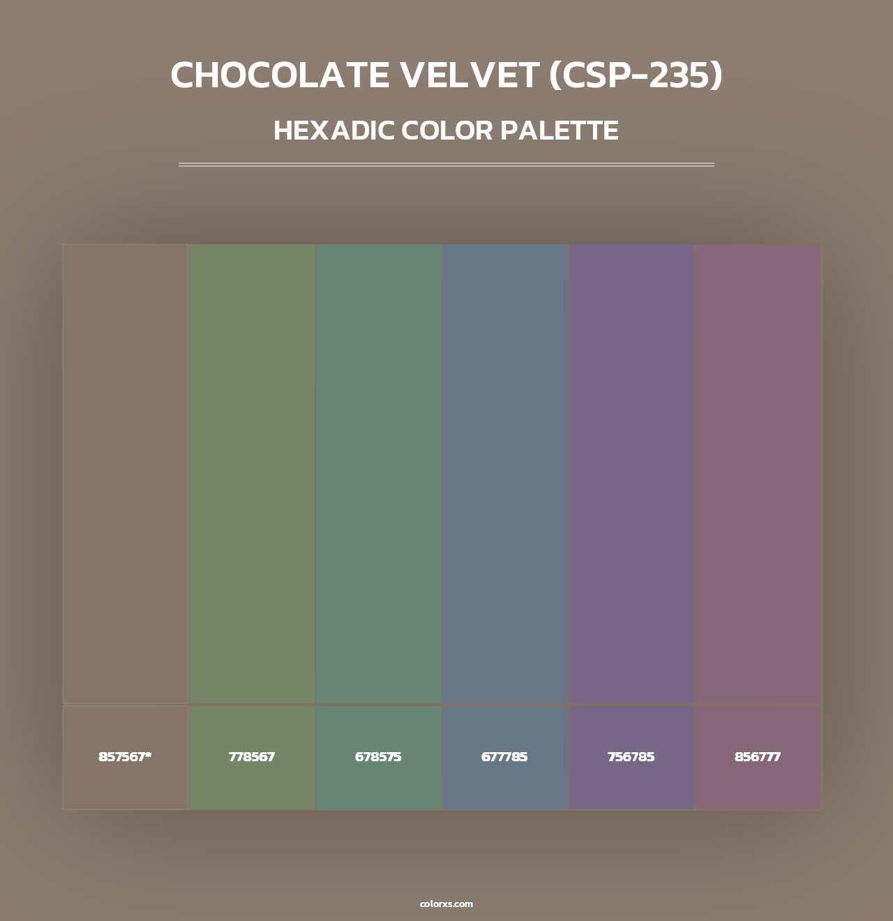 Chocolate Velvet (CSP-235) - Hexadic Color Palette
