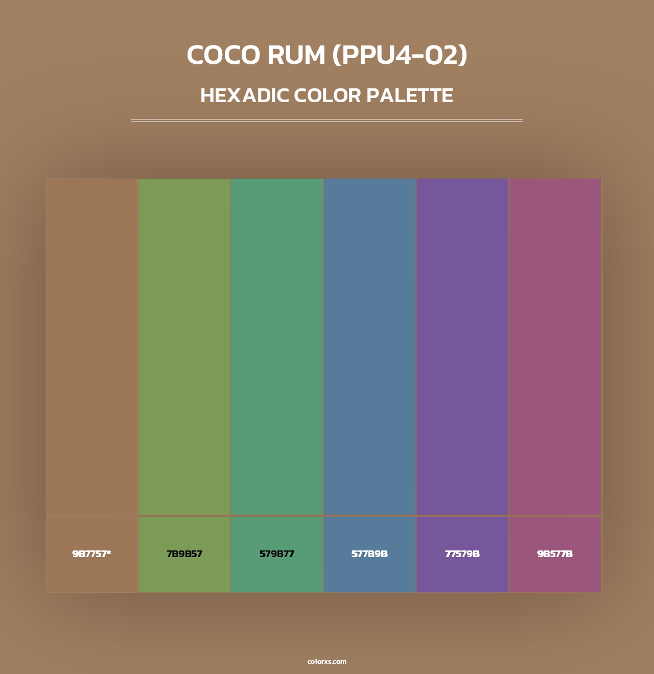 Coco Rum (PPU4-02) - Hexadic Color Palette