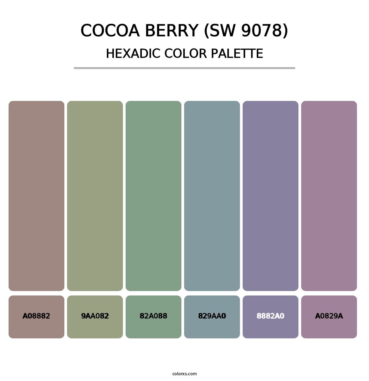 Cocoa Berry (SW 9078) - Hexadic Color Palette