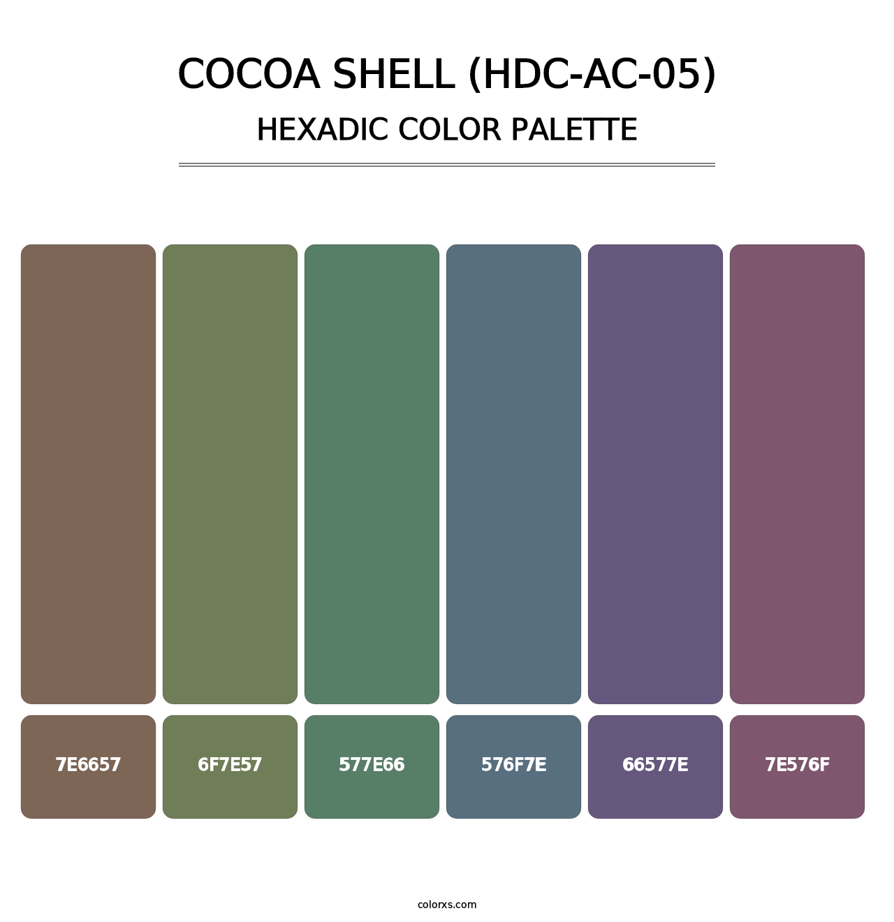 Cocoa Shell (HDC-AC-05) - Hexadic Color Palette