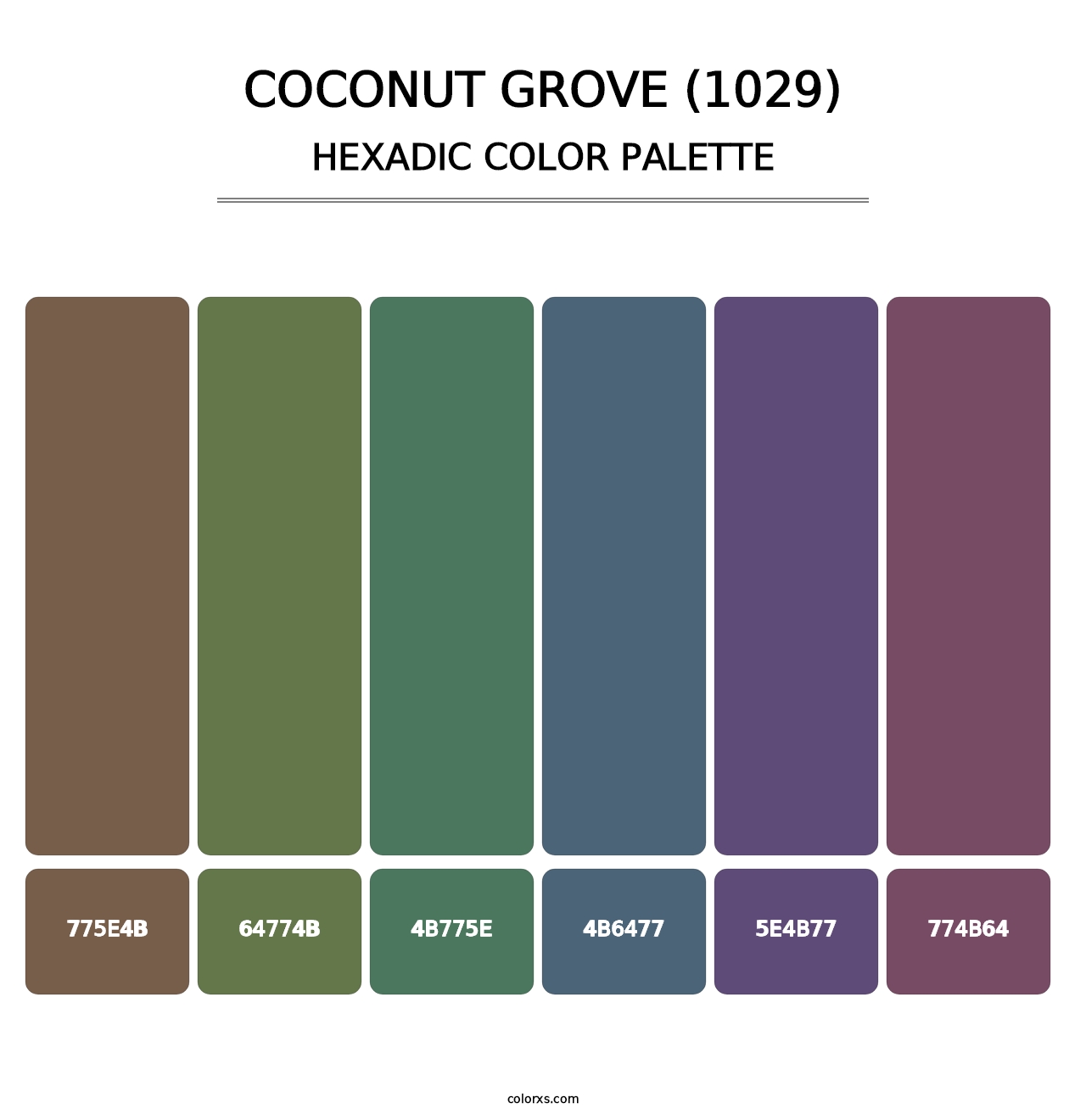 Coconut Grove (1029) - Hexadic Color Palette