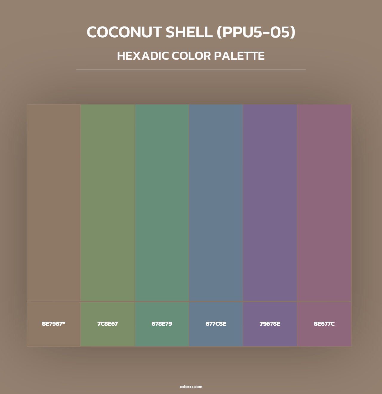 Coconut Shell (PPU5-05) - Hexadic Color Palette