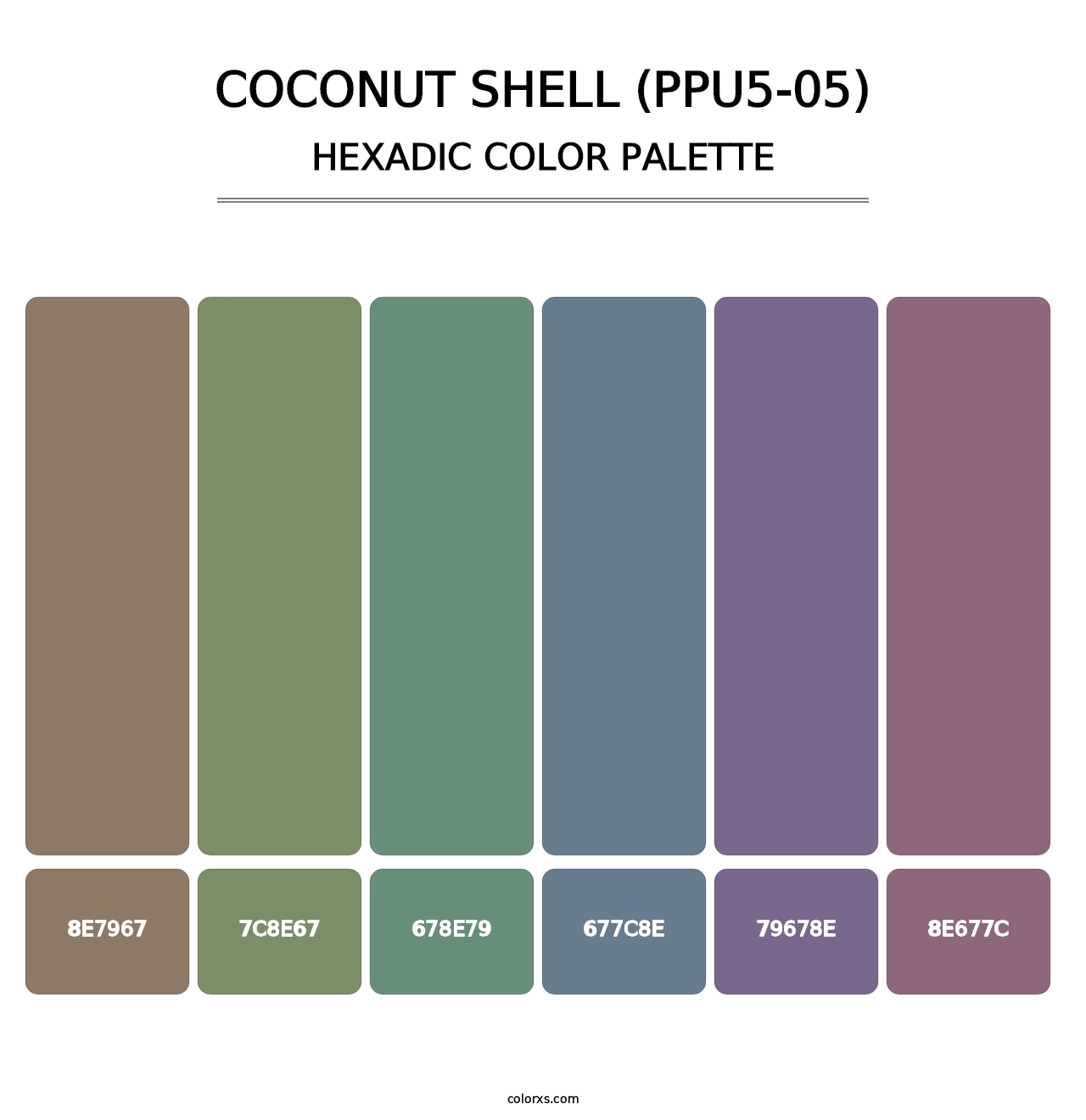 Coconut Shell (PPU5-05) - Hexadic Color Palette