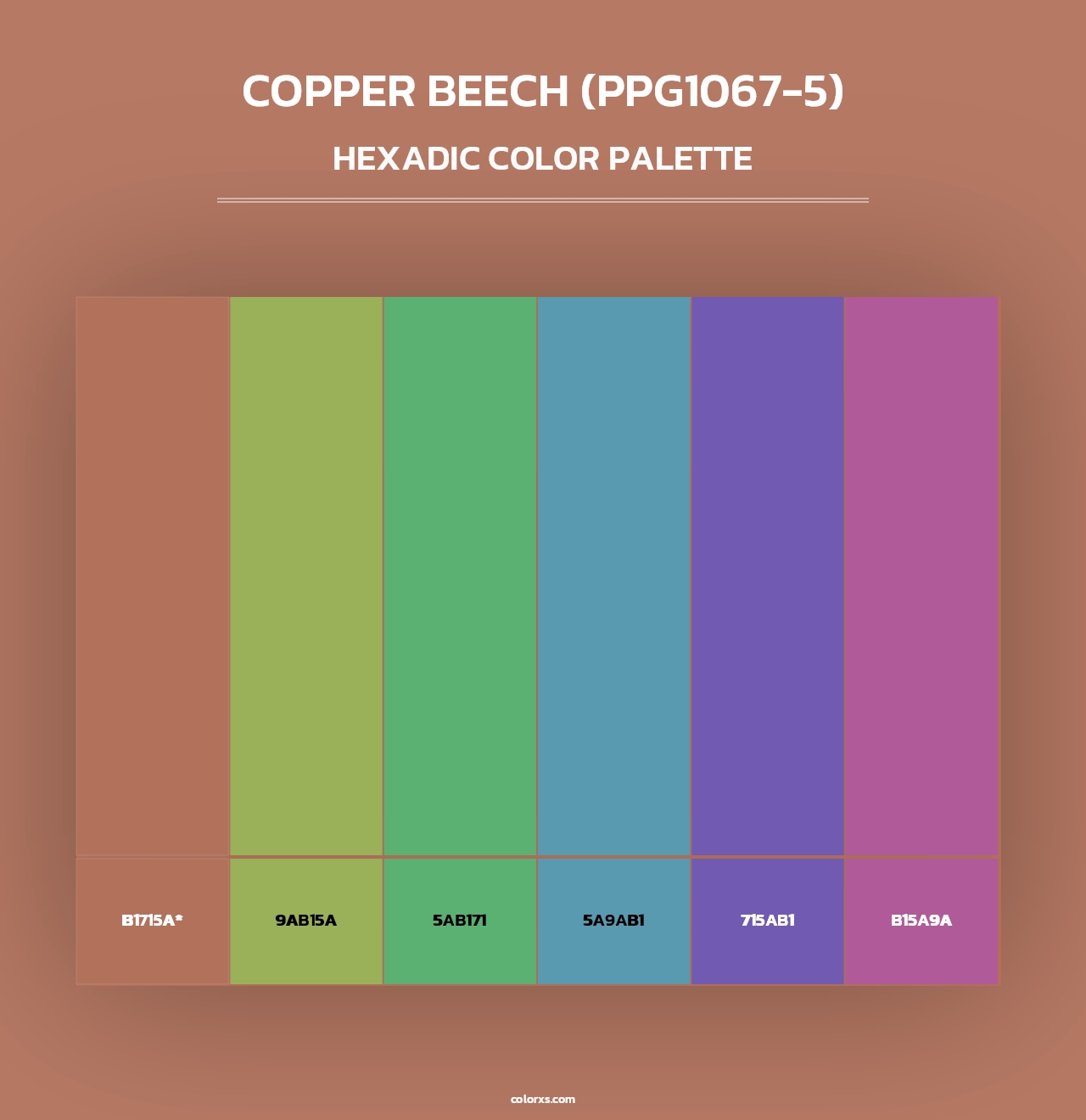 Copper Beech (PPG1067-5) - Hexadic Color Palette