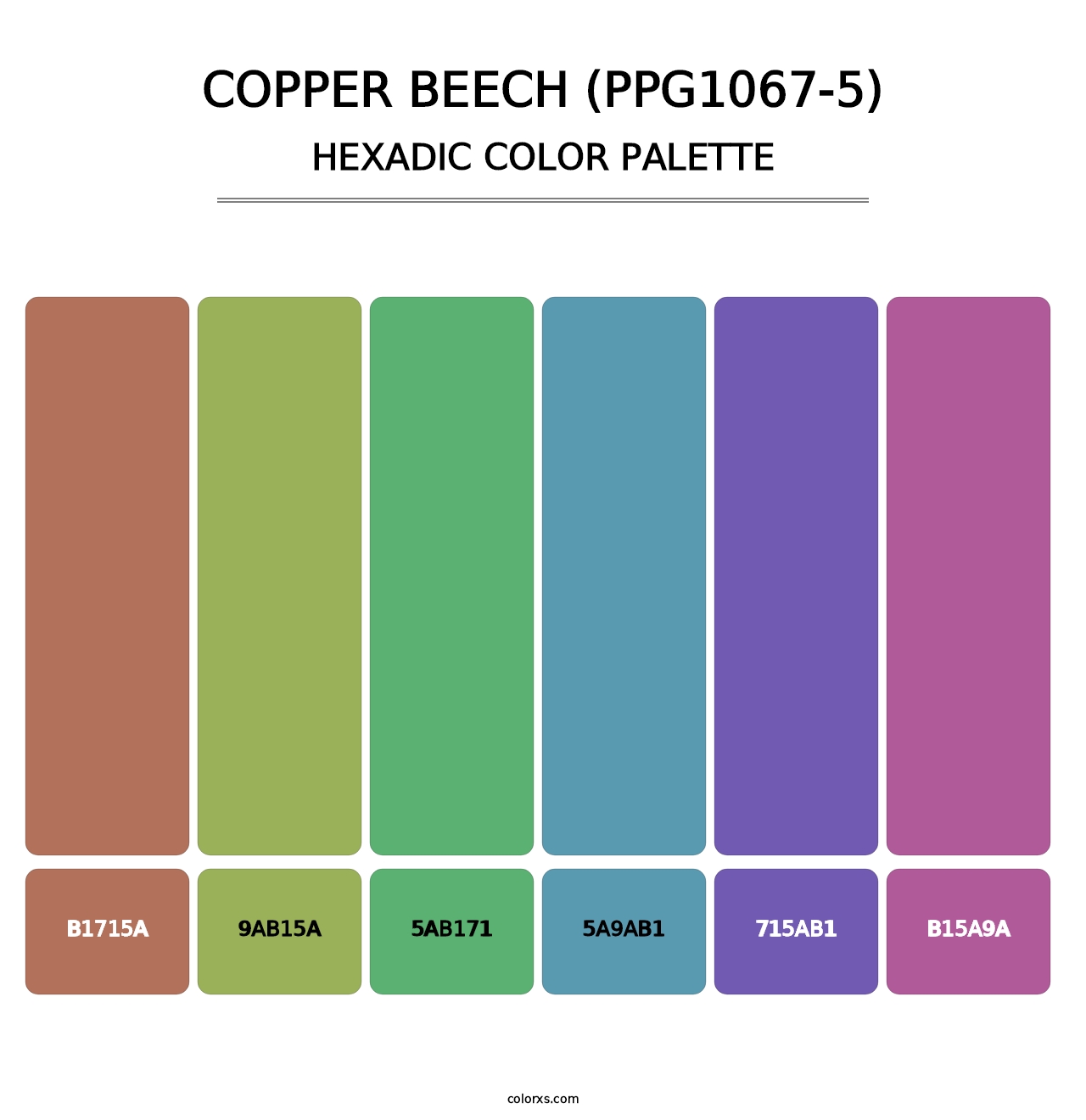 Copper Beech (PPG1067-5) - Hexadic Color Palette