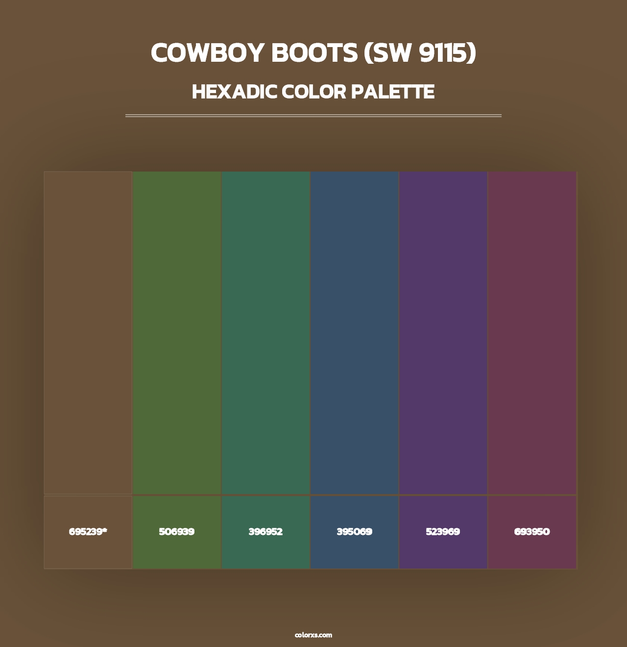 Cowboy Boots (SW 9115) - Hexadic Color Palette