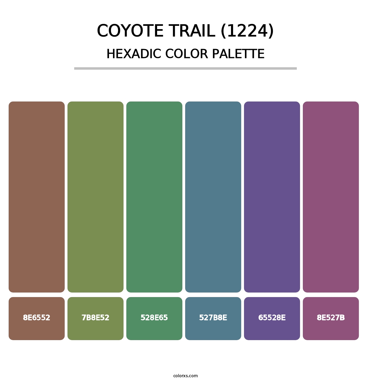 Coyote Trail (1224) - Hexadic Color Palette
