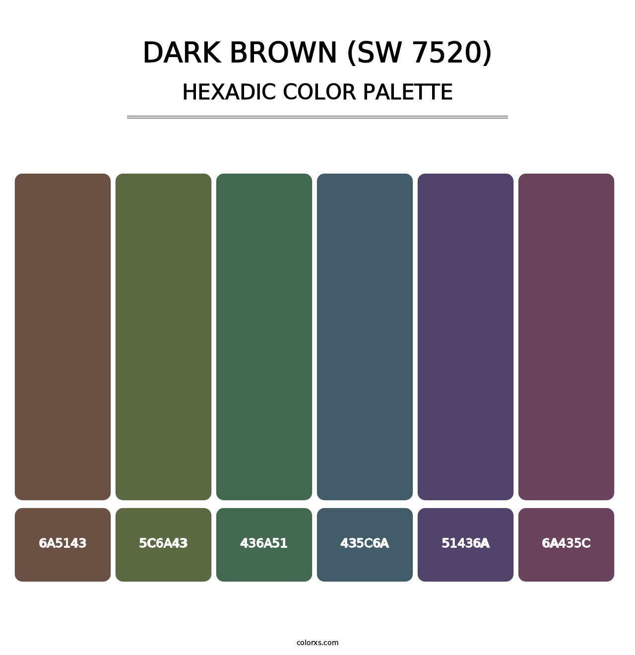 Dark Brown (SW 7520) - Hexadic Color Palette